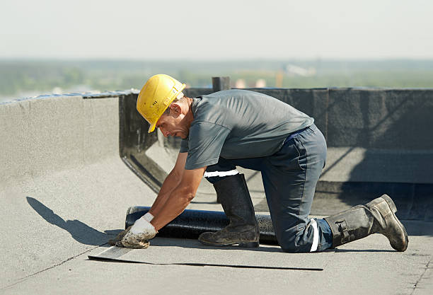 Best Specialty Insulation in Avis, PA